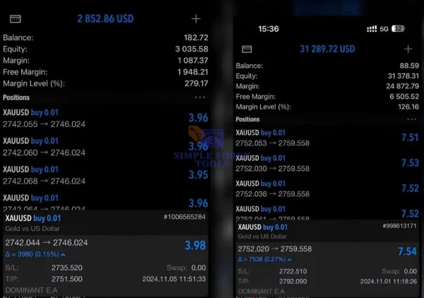 DOMINANT EA MT5 - Review 1-simple-forex-tools