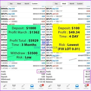 Orion Gold Scalper EA MT4 - Result 2-simple-forex-tools