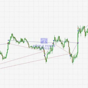 Black Wolf EA MT4+MT5 - Review 2-simple-forex-tools (1)