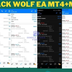 Black Wolf EA MT4+MT5 - Review 3-simple-forex-tools