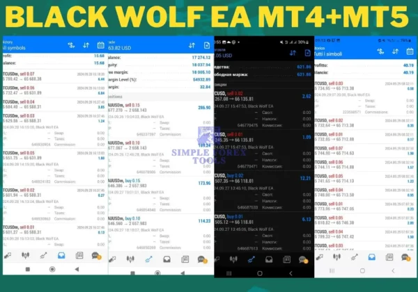 Black Wolf EA MT4+MT5 - Review 3-simple-forex-tools