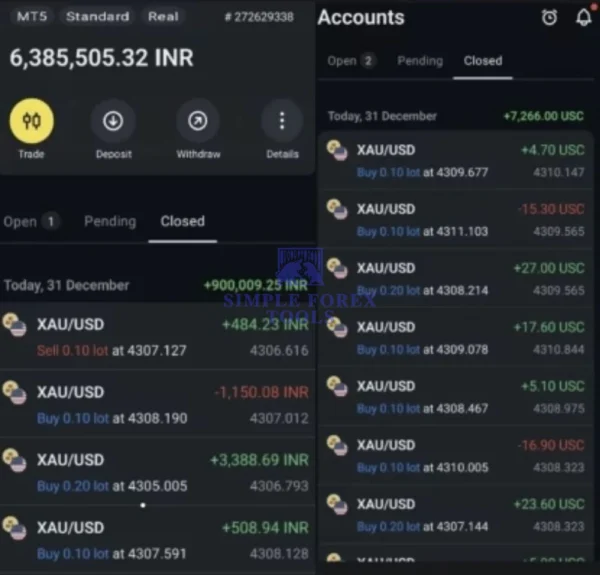 Highly Profitable Gold Scalper for MT5 Review 2-simple-forex-tools