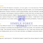 Quantum Emperor EA MT5 License Key Group Buy - MQL5 Review 2-simple-forex-tools