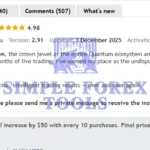 Quantum Queen MT5 - Original License Key Group Buy MQL5 Review-simple-forex-tools