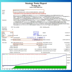 i5 Mega EA MT4- Review 2-simple-forex-tools