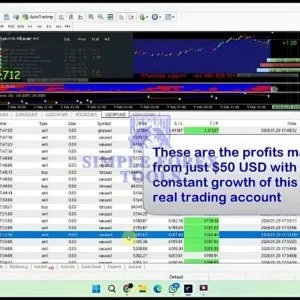 Baryonyx Robot Trading MT4 Review 1-simple-forex-tools