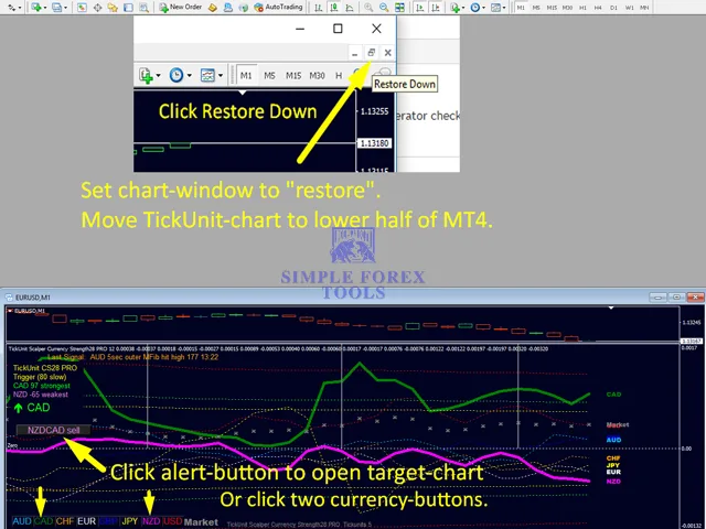 TickUnit Scalper Currency Strength28 PRO MT4 - Unlimited TickUnit Scalper Currency Strength28 PRO Review 3-3