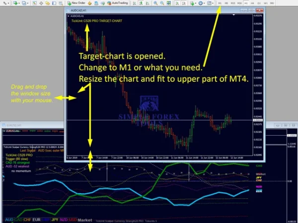 TickUnit Scalper Currency Strength28 PRO MT4 - Unlimited TickUnit Scalper Currency Strength28 PRO Review 4-4