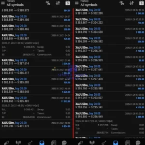 VIGRO PRO EA MT4 real account style XAUUSD result screenshot
