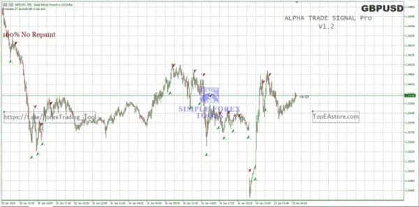 Alpha Trade Signal Pro MT5 Result 3-3
